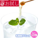 お試し 乳酸菌&ヨーグルト 10包 合計30g フェカリス菌...