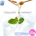 乳酸菌&ヨーグルト 50包 合計150g フェカリス菌 難消...