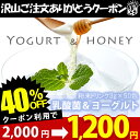 乳酸菌&ヨーグルト 50包 合計150g フェカリス菌 難消...