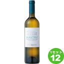 モトックス MastroBiancoCampaniaIGTマストロビアンコカンパーニア 白ワイン イタリア/カンパーニア750ml×12本 ワイン【送料無料※一部地域は除く】【取り寄せ品 メーカー在庫次第となります】