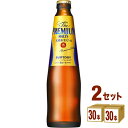 サントリー ザ・プレミアムモルツ 小瓶 334ml×30本(個)×2ケース ビール【送料無料※一部地域は除く】