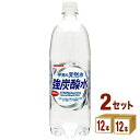 日本サンガリア 伊賀の天然水強炭酸水 1000ml×12本(...