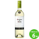カッシェロ・デル・ディアブロ ソーヴィニヨン・ブラン 750ml びん×6本(個)チリ/セントラル・ヴァレーメルシャン