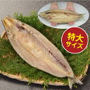 特大かますひもの(1枚)...