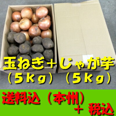 【送料無料　税込】北海道産玉ねぎM5kg　＋　じゃが芋L5kg（業務用　玉葱 タマネギ た…...:j-fruit:10000285