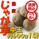 【税込 バラ売り】北海道産他 じゃが芋 中玉(L)600g ...