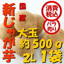 【税込 バラ売り】鹿児島産他 新じゃが芋 大玉(2L)500g 1袋(しんじゃがいも シンジャガイモ ポテト じゃがいも ジャガイモ じゃが芋 常備野菜 特用 セット)上越フルーツ