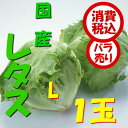 【税込 バラ売り】茨城・長野県産他 レタス L 1玉(れたす サラダ)上越フルーツ