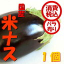 【税込 バラ売り】高知県産他 米ナス 1個(べいなす ベイナス なす なすび 焼ナス)上越フルーツ