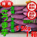 特売【送料無料 箱売 消費税込】茨城・千葉県産他 さつま芋(紅あずま)Sサイズ 5kg1箱(業務用 さつま 焼き芋 ベニアズマ)上越フルーツ