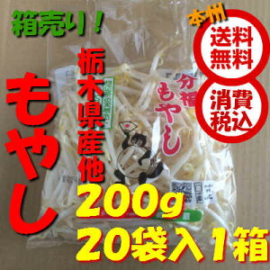 【送料無料 箱売 消費税込】栃木県産他 もやし 200g 1入1箱 （業務用 モヤシ）上越フルーツ