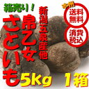 【送料無料(本州) 箱売 消費税込】新潟五泉産 帛乙女 里芋...