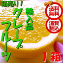 ¡ÚÁ÷ÎÁ̵ÎÁ¡¡È¢Çä¡¡¾ÃÈñÀǹþ¡ÛÆî¥¢¥Õ¥ê¥«»ºÂ¾¡¡¥°¥ì¡¼¥×¥Õ¥ë¡¼¥Ä¡¡Çò¡¡45¶Ì¡¡1È¢¡¡¡Ê¶È̳ÍÑ¡¡¤°¤ì¡¼¤×¡¡¤°¤ì¡¼¤×¤Õ¤ë¡¼¤Ä¡¡GF¡Ë¾å±Û¥Õ¥ë¡¼¥Ä