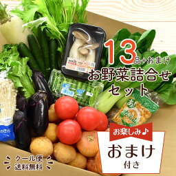 ＜あす楽＞【本州 <strong>送料無料</strong> おまけ付】野菜セット 13品 <strong>野菜詰め合わせ</strong> 野菜BOX 野菜 詰め合わせ 旬 食材 産地直送 新鮮 宅配 生野菜 上越フルーツ