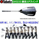 タバタ ゴルフ 藤田コアスイング GV0233 (Men's) TABATA