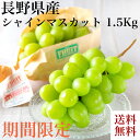 出荷時期9月上旬~【期間限定】送料無料 お取り寄せ 長野県産 シャインマスカット 1.5Kg 期間限定 種なし 長野産 マスカット 冷蔵 誕生日 詰め合わせ 返礼品 ギフト プレゼント