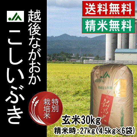 【精米無料】【特別栽培米】平成23年産　新潟県産こしいぶき玄米30kg 【送料無料】【RCPdec18】【2sp_120810_green】