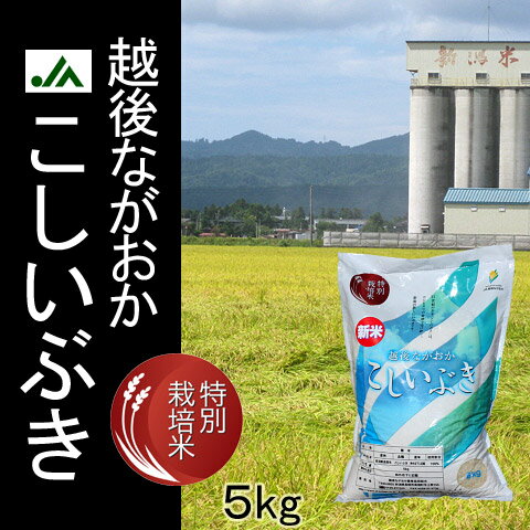 【特別栽培米】平成23年産　新潟県産こしいぶき5kg【あす楽対応_甲信越】【あす楽対応_関東】【あす楽対応_北陸】【あす楽対応_東海】【楽ギフ_包装】【楽ギフ_のし宛書】【2sp_120720_a】産地直送！ツヤと食感が抜群のコシヒカリの旨みを引き継いだ新品種♪安全・安心の特別栽培米！JA（農協）