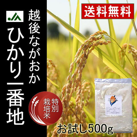 【特別栽培米】ひかり一番地（新潟県産コシヒカリ）長岡地区限定 500g（平成23年産)【送料無料】【2sp_120810_green】