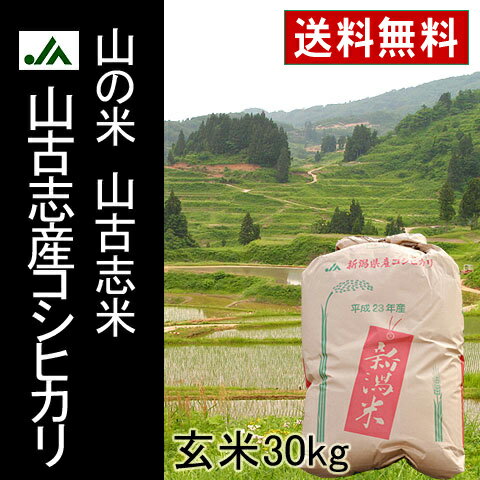 平成23年産　山古志コシヒカリ玄米30kg（新潟県産こしひかり）【送料無料】【あす楽対応_甲信越】【あす楽対応_関東】【あす楽対応_北陸】【あす楽対応_東海】【楽ギフ_のし宛書】【2sp_120810_green】食味最高ランク【特A】【1等米限定】産地直送！美しい棚田が育んだ美味しい山のお米！JA（農協）