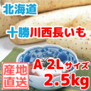 長いも(十勝川西長いも)北海道産長芋 A2Lサイズ 2.5k...