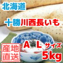 長いも(十勝川西長いも)北海道産長芋 A Lサイズ 5kg(8本入)平成28年産