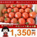 ¡ÚÃæ¶Ì¥È¥Þ¥ÈµÍ¹ç¤»¥»¥Ã¥È¡Û²£»³¤µ¤ó¤Á¤Î¥È¥Þ¥ÈÌó1kgÌó40¶Ì¡ÚJAº´ÌîÆÊÌÚ¸©º´Ìî»Ô»º¡Û¥µ¥é¥À¤Ë¡¢Îä¥È¥Þ¥È¤ËºÇŬ¡ÚÉʼ¥Õ¥ë¥Æ¥£¥«¡Û