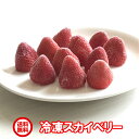 送料無料/日本一の生産量を誇る栃木県のイチゴ<冷凍 スカイベリー1kg>ちおとめと一味違う♪おやつにピッタリかぶりつき、冷た?いスムージーに是非!栃木県佐野市産/冷凍/イチゴ
