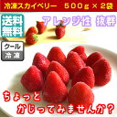 送料無料/日本一の生産量を誇る栃木県のイチゴ<冷凍 スカイベ...