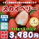 ★クール送料無料★JAが直販 高級イチゴ スカイベリー2パックセット 栃木県産/いちご/