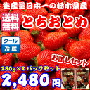 ★お歳暮★クール送料無料★栃木県産とちおとめ280グラムを2...