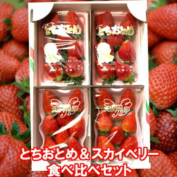 【再販決定】<strong>いちご</strong>食べ比べ スカイベリーもとちおとめも食べたい！JA直販 高級イチゴ スカイベリー＆とちおとめ各2パックセット 栃木県産 苺 <strong>いちご</strong> 贈答用 プレゼント ギフト <strong>産地直送</strong> ケーキ デコレーション 冷蔵便 送料無料 スカイおとめ各2P