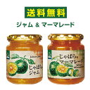 じゃばらジャム・マーマレード食べ比べセット 送料無料 花粉 じゃばらの産地 北山村公式ショップ 高級 ナリルチン 無添加 果皮入り 果物 フルーツ ギフト プレゼント お歳暮 お中元 つめかえ ジャバラ