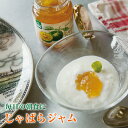 【1月中に順次発送】北山村特産じゃばらのじゃばらジャム140g※1月発送、2月発送、3月