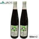 ¡ÚJA¤Ò¤À¡ÛÈôÂÍ»³¤Ö¤É¤¦¥¸¥å¡¼¥¹ 500ml¡ß2 Á÷ÎÁ̵ÎÁ ¢¨²Æì¡¦Î¥ÅçÊÌÅÓÁ÷ÎÁ1000±ß¢¨