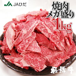 【JAひだ】飛騨牛 焼き肉 メガ盛り 1kg 牛肉 焼肉 <strong>カルビ</strong>　肉 福袋 3～5人前 送料無料 部位が選べない 訳あり 不揃い <strong>わけあり</strong> 冷凍 JA飛騨 和牛 観光地応援 　切り落とし 肉 牛 焼き肉セット BBQ　バーベキュー