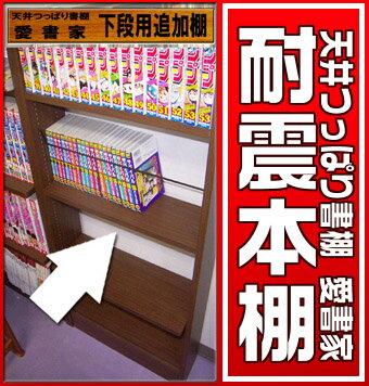 奥行き17センチ本棚天井つっぱり書棚 愛書家 専用　下段本体用棚板（取り付け用シャフト付属します）★キッチンポイントアップ祭★0810