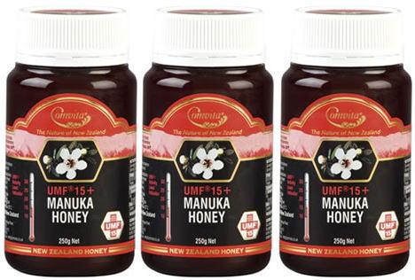 【送料無料】蜜蜂が作った奇跡の無添加ハチミツコンビタ・アクティブUMFマヌカハニー UMF15+　3個セット天然のお医者様　ピロリ菌や胃腸が気になる方におすすめ風邪対策にも！28aug09P10