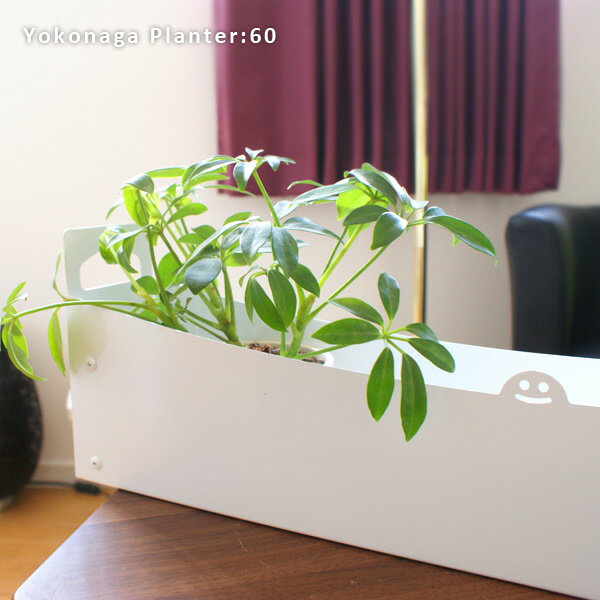 【楽天市場】Yokonaga Planter:60 （横長プランター60cm） 60cm|横長|スクエアプランター|園芸|鉄|ブリキ|鉢