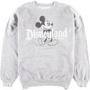 DISNEYLAND RESORT MICKEY MOUSE ミッキーマウス キャラクタースウェットシャツ トレーナー レディースXL /wbk0790 【中古】 【191104】【PD191219】【ws2001】【CS2001】【【SS2003】】