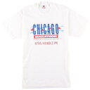 90年代 フルーツオブザルーム FRUIT OF THE LOOM 両面プリントTシャツ USA製 メンズL ヴィンテージ /eaa062947 【中古】 【200723】【JS2010】