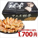 アニキ餃子 36個入