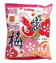 【全品ポイント5倍★21日10:00〜24日23:59】【送...