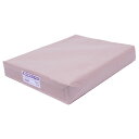【キャッシュレス5%還元】業務用OPP袋T31-43(A3用) (1000枚)【イージャパンモール】