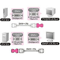 サンワサプライ　DVIアダプタ　AD-DV01【代引不可】【パソコングッズ館】【楽天セール】【半額】【50%OFF】【マラソン201207_生活】　