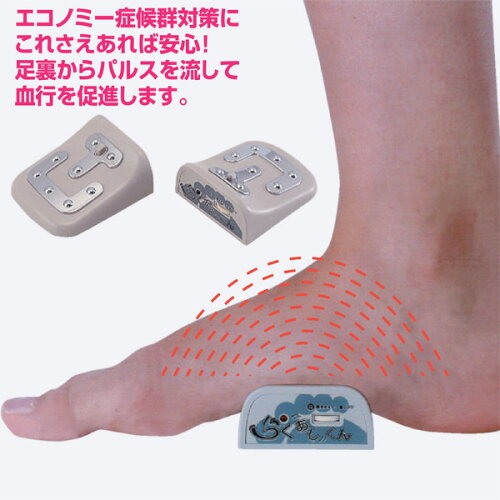 https://thumbnail.image.rakuten.co.jp/@0_mall/japan-l/cabinet/item/t12031.jpg?_ex=500x500