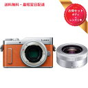 Panasonic パナソニック ミラーレス一眼カメラ ルミックス GF10 ボディ オレンジ + 標準ズームレンズ G VARIO 12-32mm/F3.5-5.6 ASPH./MEGA O.I.S. シルバー お得セット 新品
