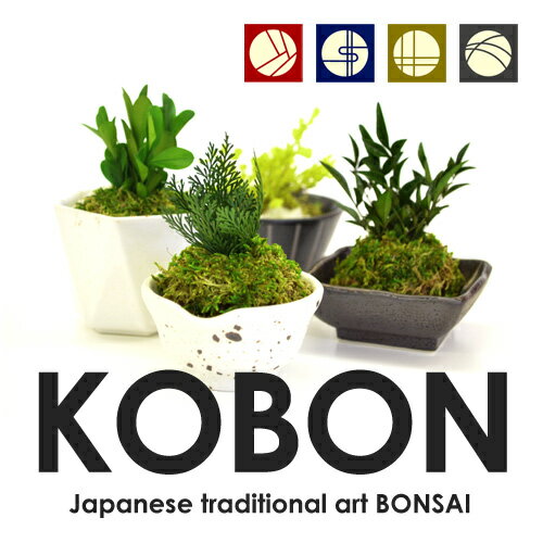 【送料無料】お手入れ不要 小さなプリザーブド盆栽 KOBON ミニ盆栽 bonsai ボン…...:japangift:10222073