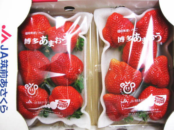 ¿ޤG300g4ѥå̵JA¿ޤG300g4ѥå̵