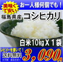 レビューを書いて送料無料22年福島県産コシヒカリ 10kg　※沖縄・全ての離島へお届け不可福島県：食品も同梱OK♪